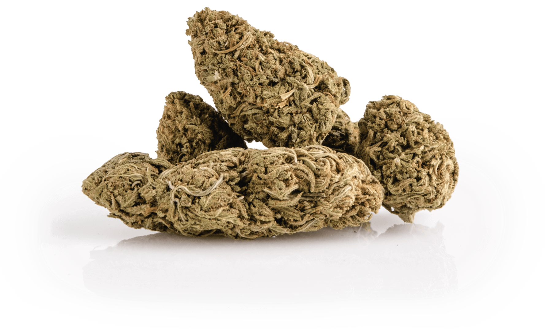 marijuana cannabis buds on an isolated white backg EY5AH6C