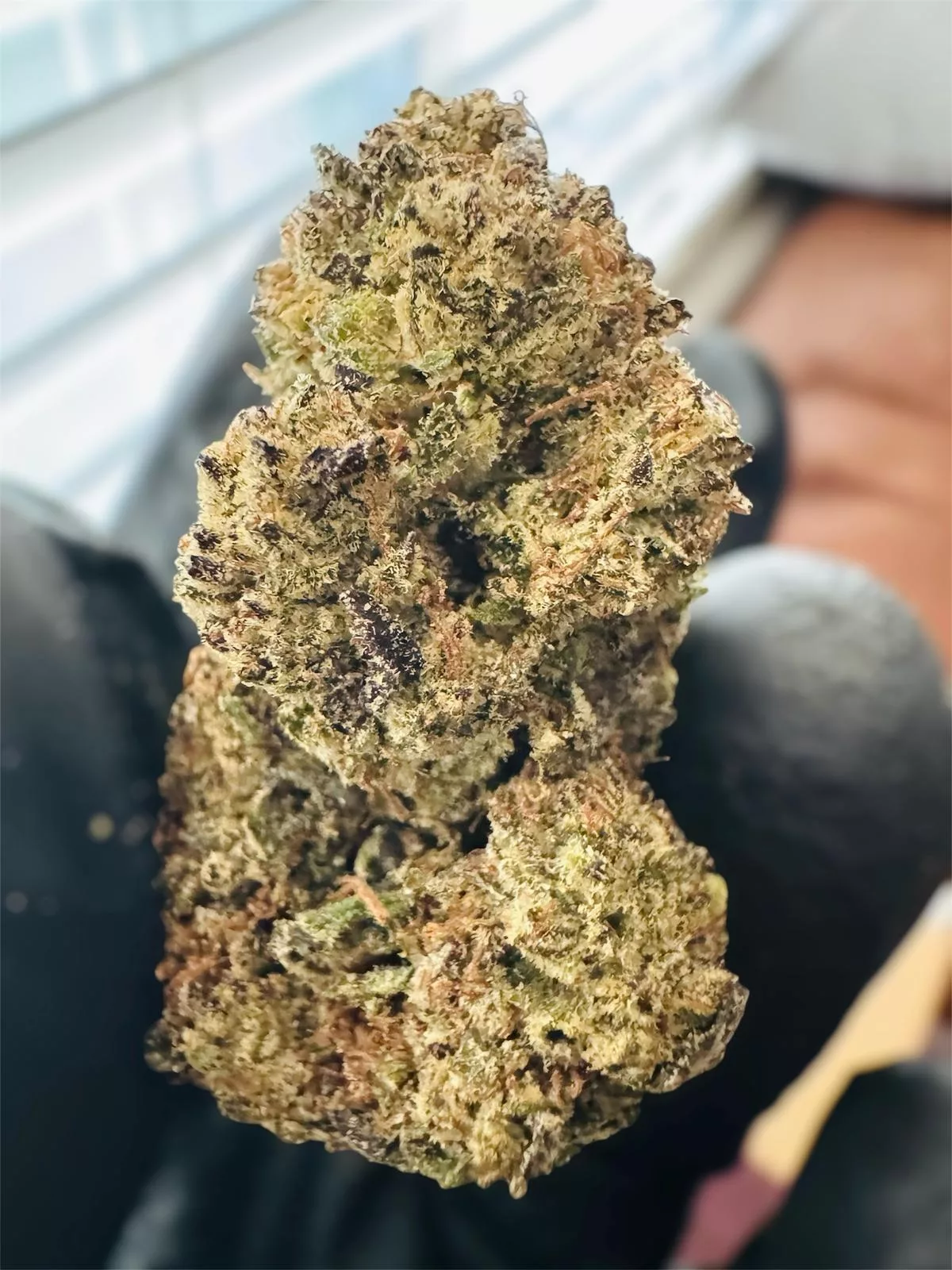 Dante's Inferno THCA Flower