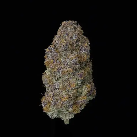 Blue Cookies THCA Flower