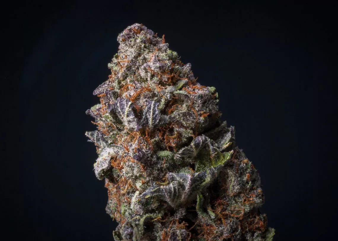 Banana Punch THCA Flower