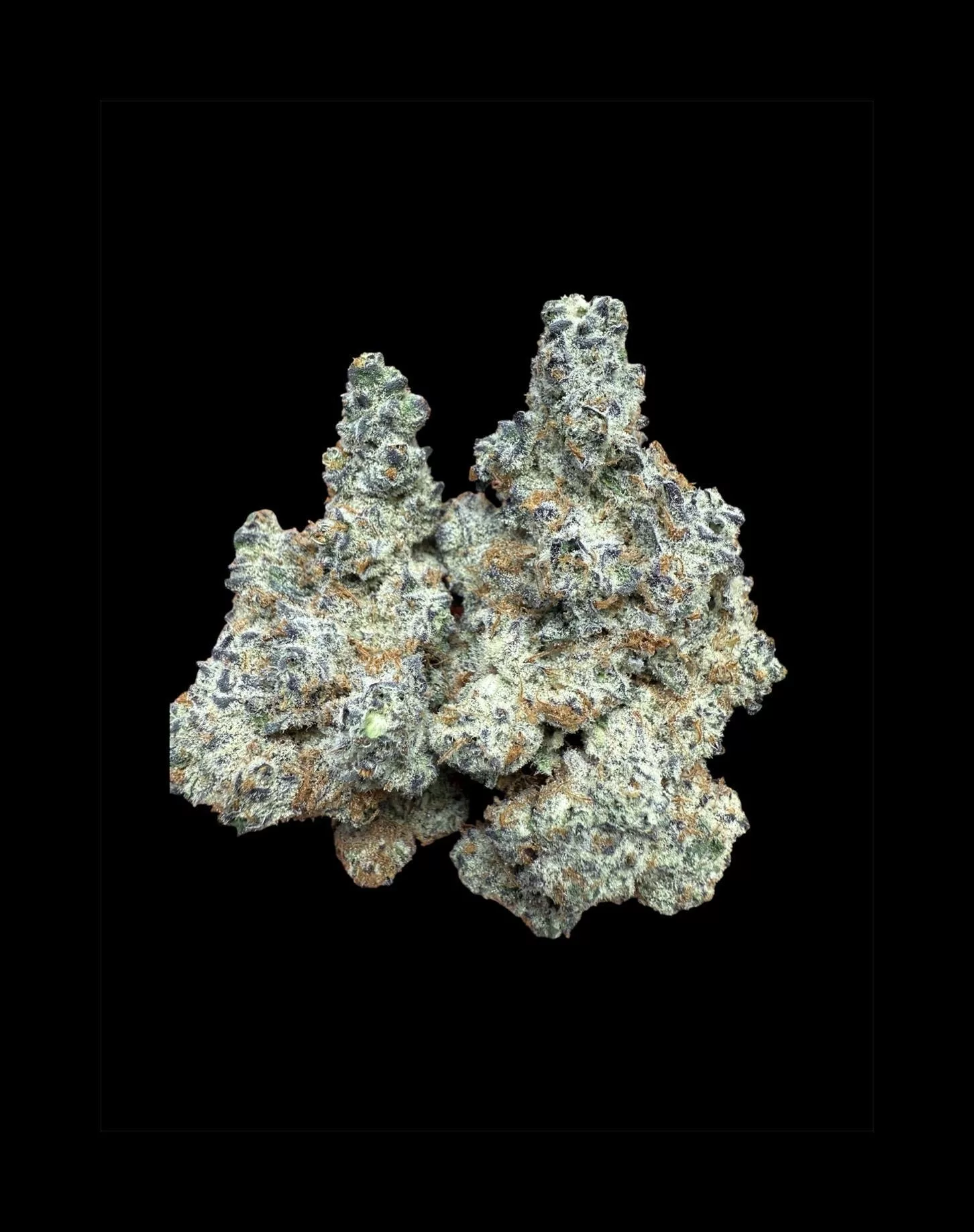 Frozen Dream THCA Flower