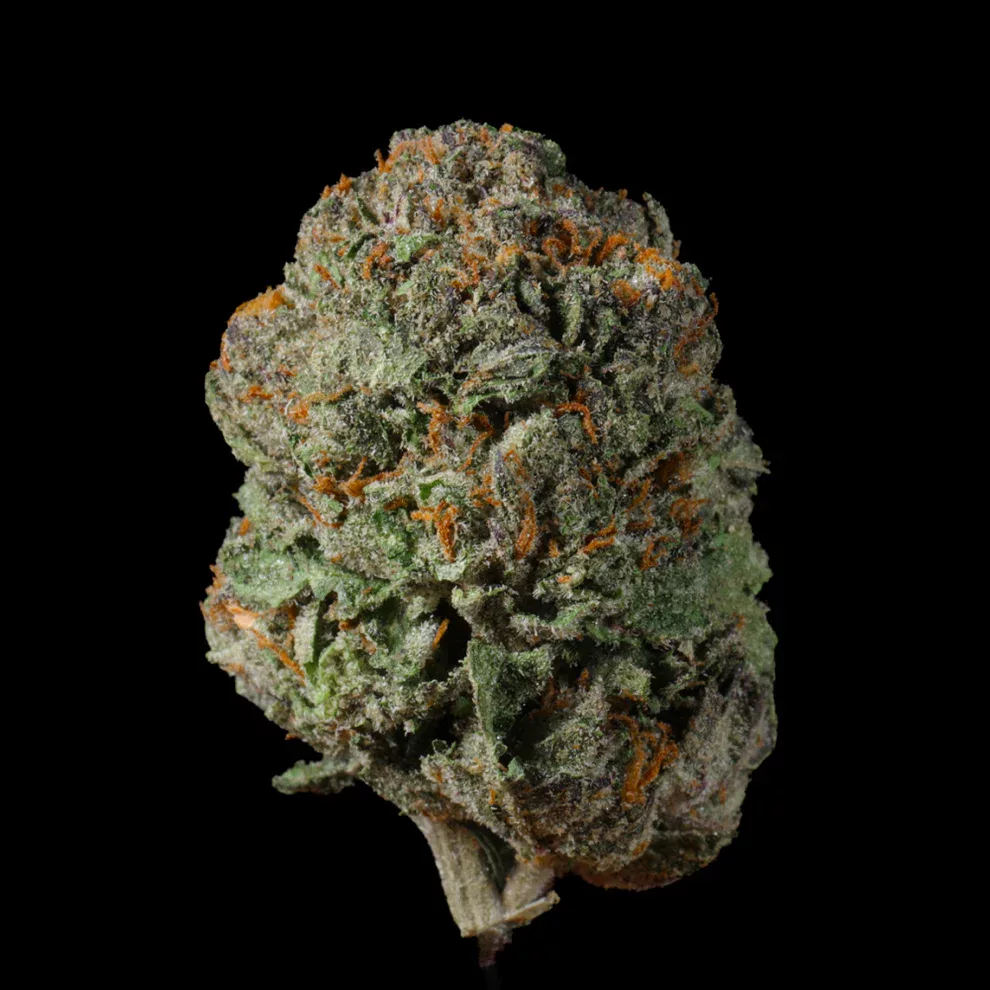 Gush Mint THCA Flower