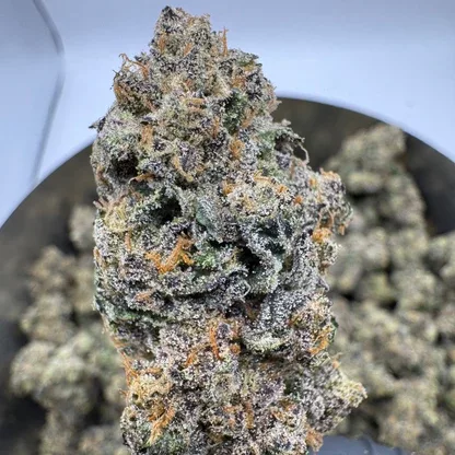 Hash Burger THCA Flower