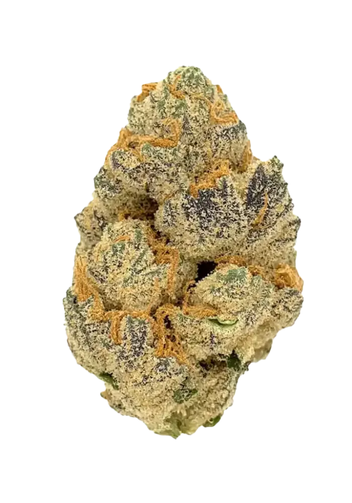 Sherbet Cake THCA Flower