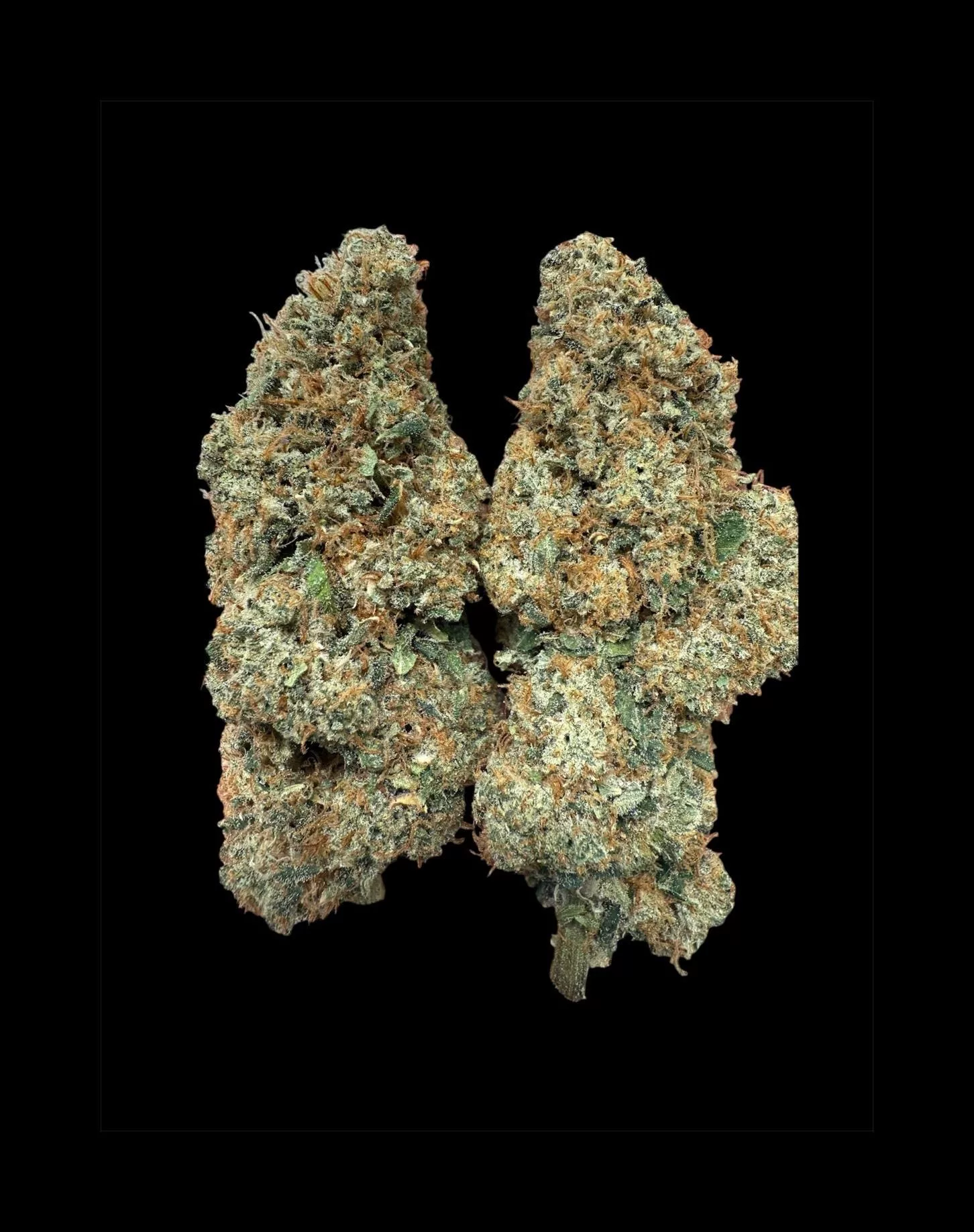 Super Silver Haze THCA Flower