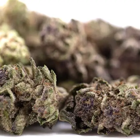 Cali Burger THCA Flower