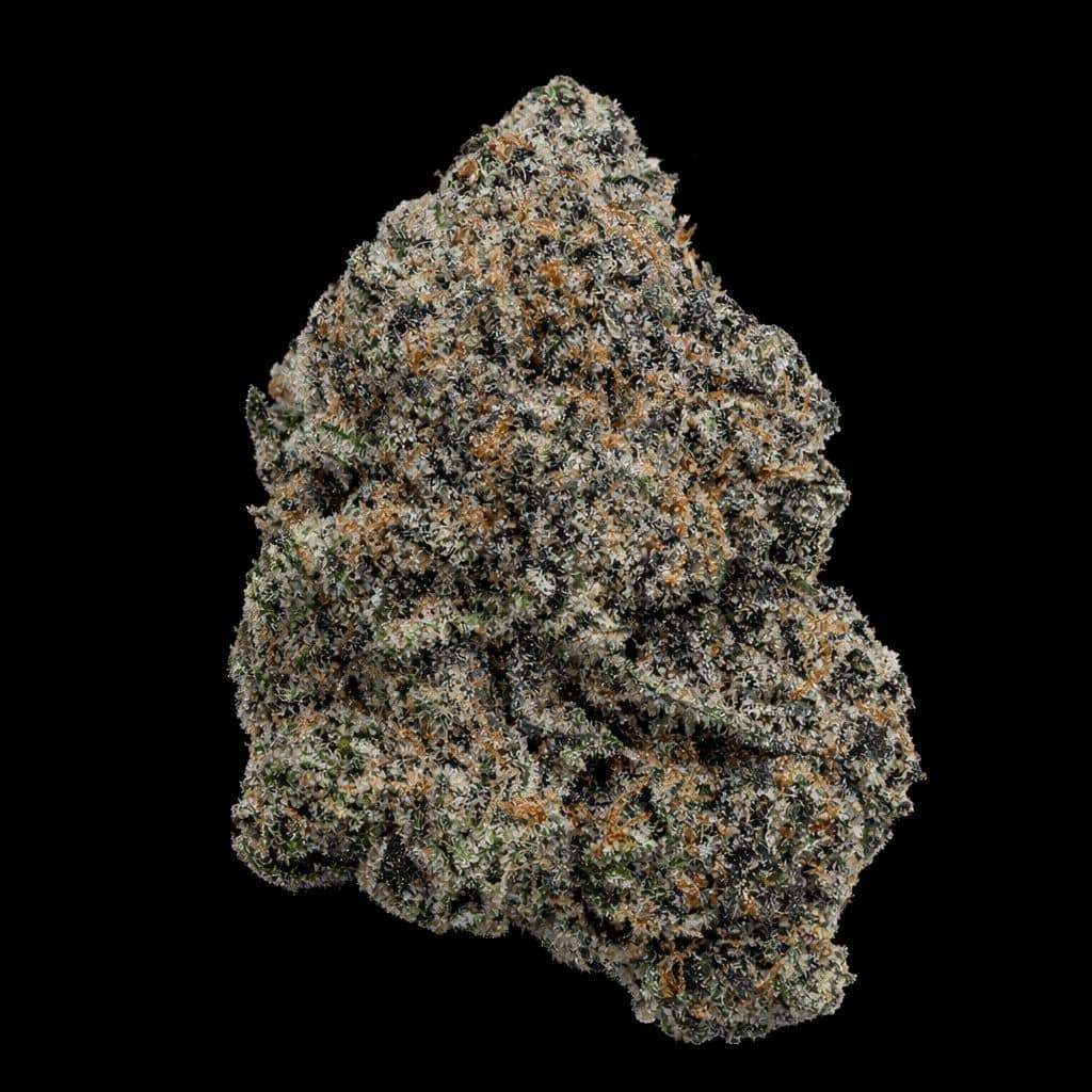 High-quality cannabis flower with frosty trichomes and vibrant orange hairs. Perfect for medicinal and recreational use.