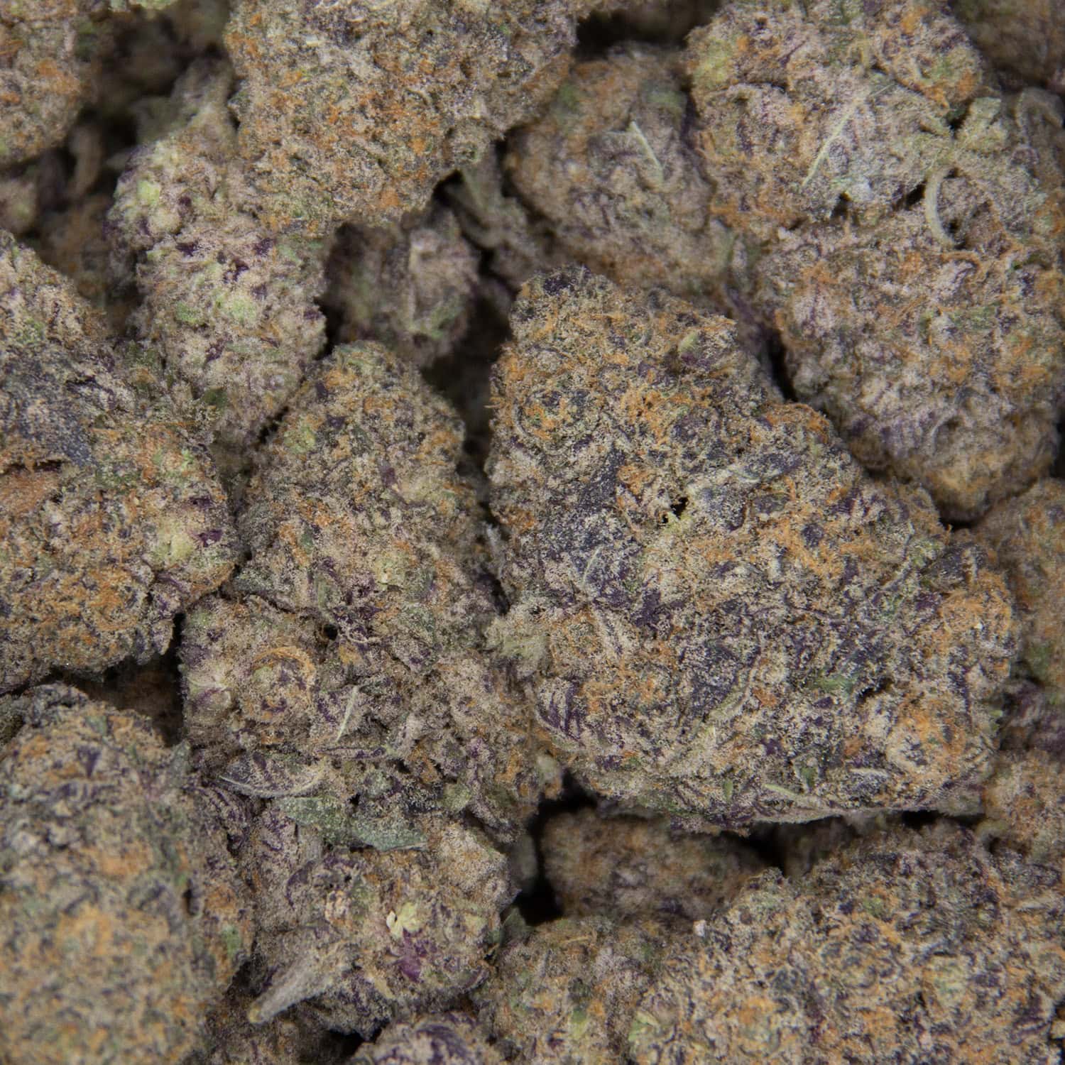 Cinderella 99 AAA 1 copy