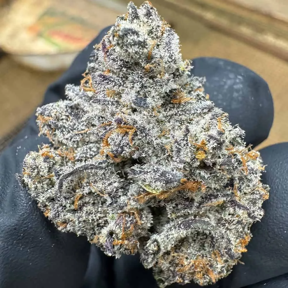 Dante's Inferno THCA Flower