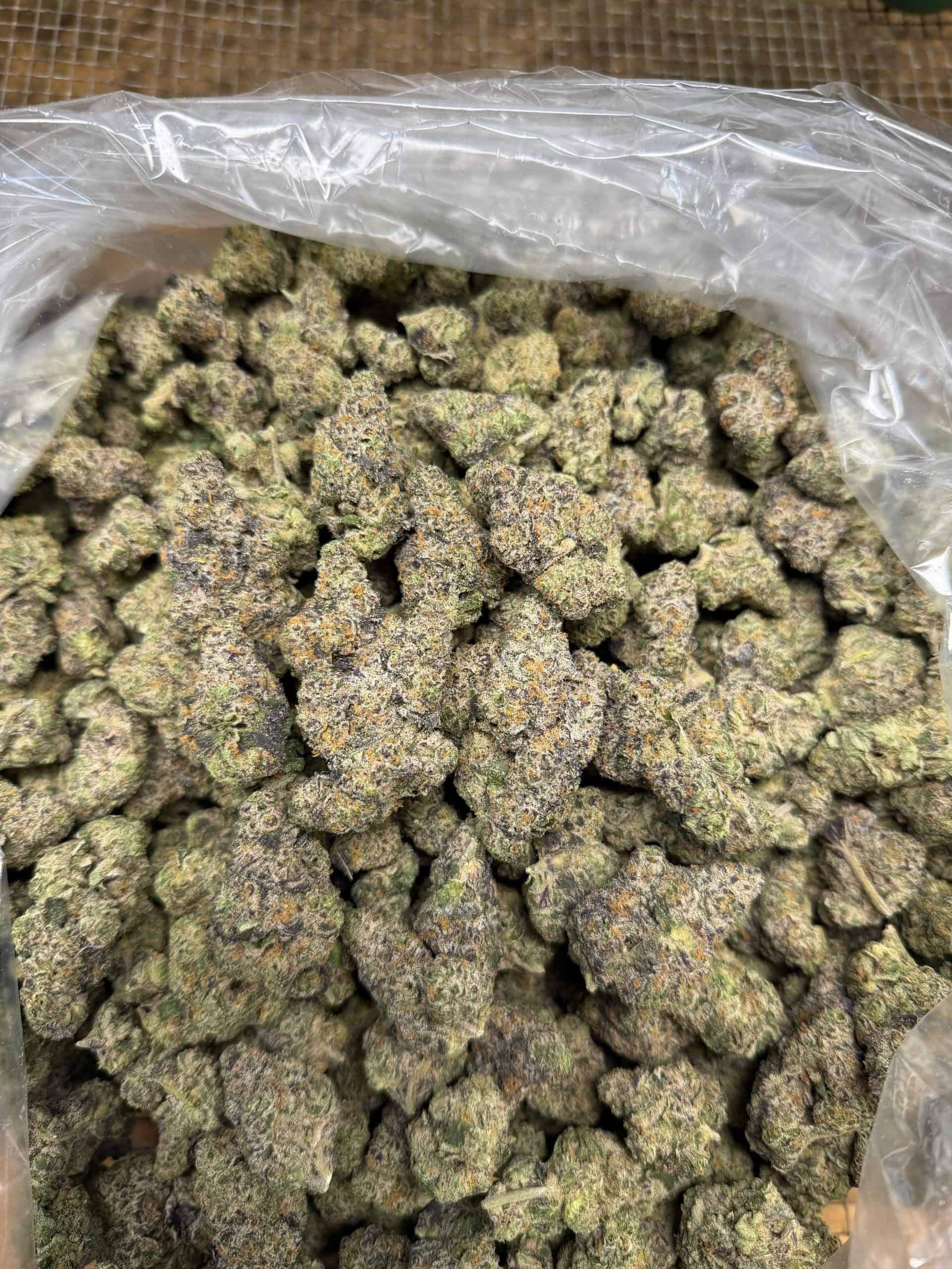 High-quality cannabis buds for medicinal and recreational use, available at Kingstone Pharms.