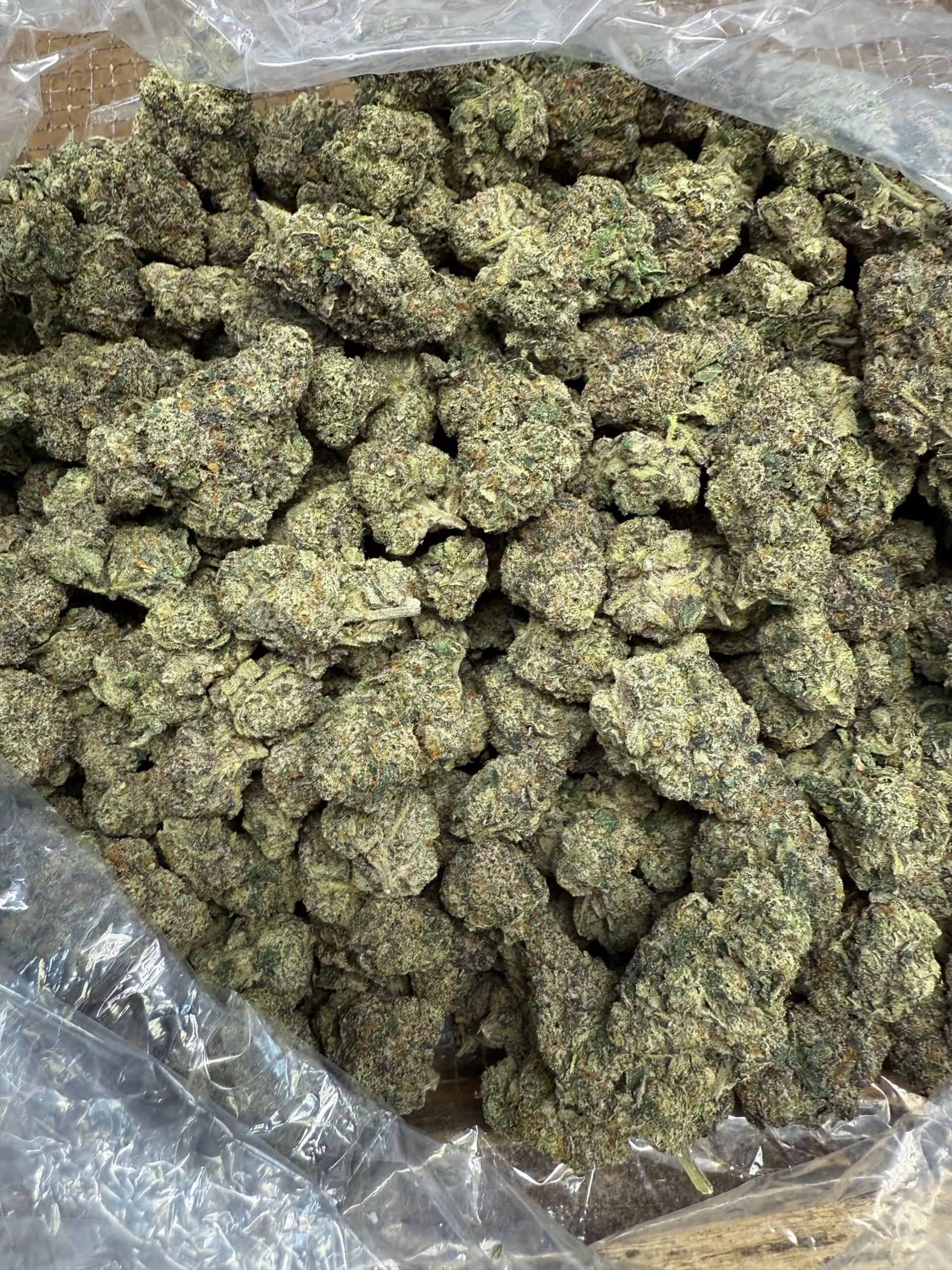 Cannabis buds, premium quality marijuana, bulk weed supply, discreet cannabis delivery UK.