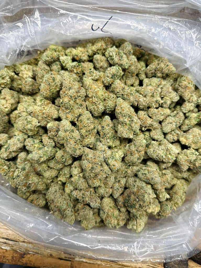 High-quality cannabis buds for medicinal and recreational use, available online.