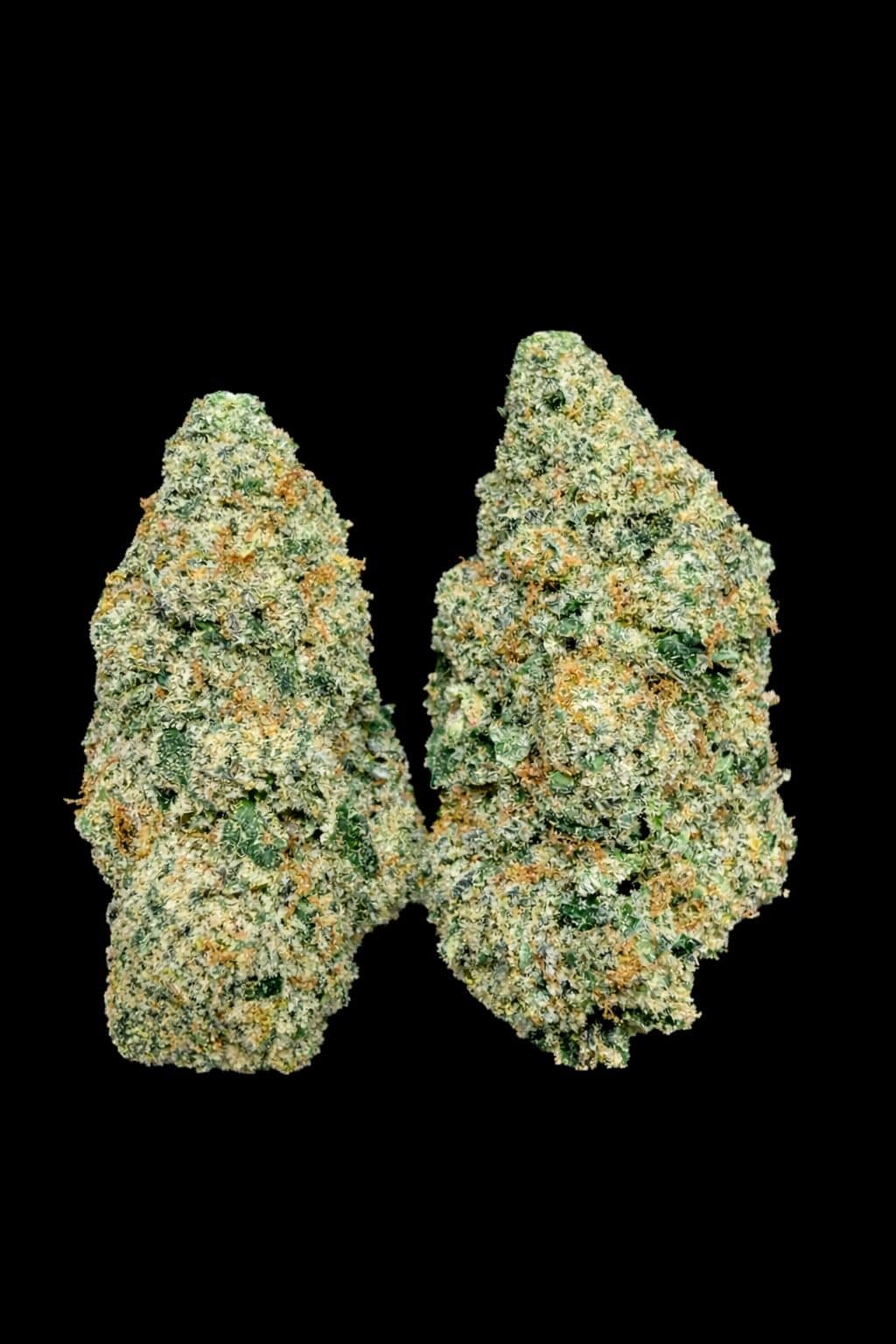 Close-up of two high-quality cannabis buds with frosty trichomes, colourful pistils, against black background.