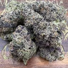 Hash Burger THCA Flower - Image 2