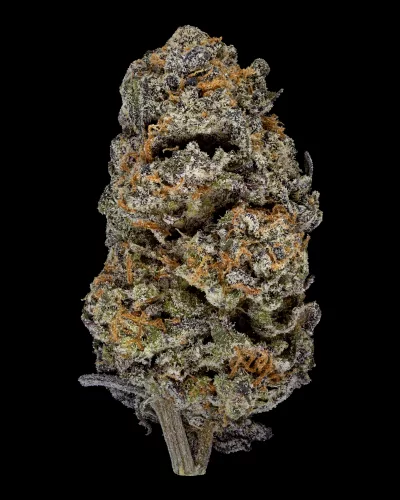 Jack Herer THCA Flower