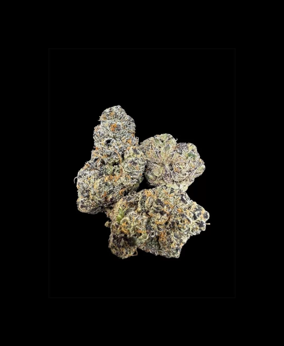 Lemon Cherry Swirl #31 THCA Flower