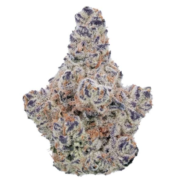 Northern Lights 2