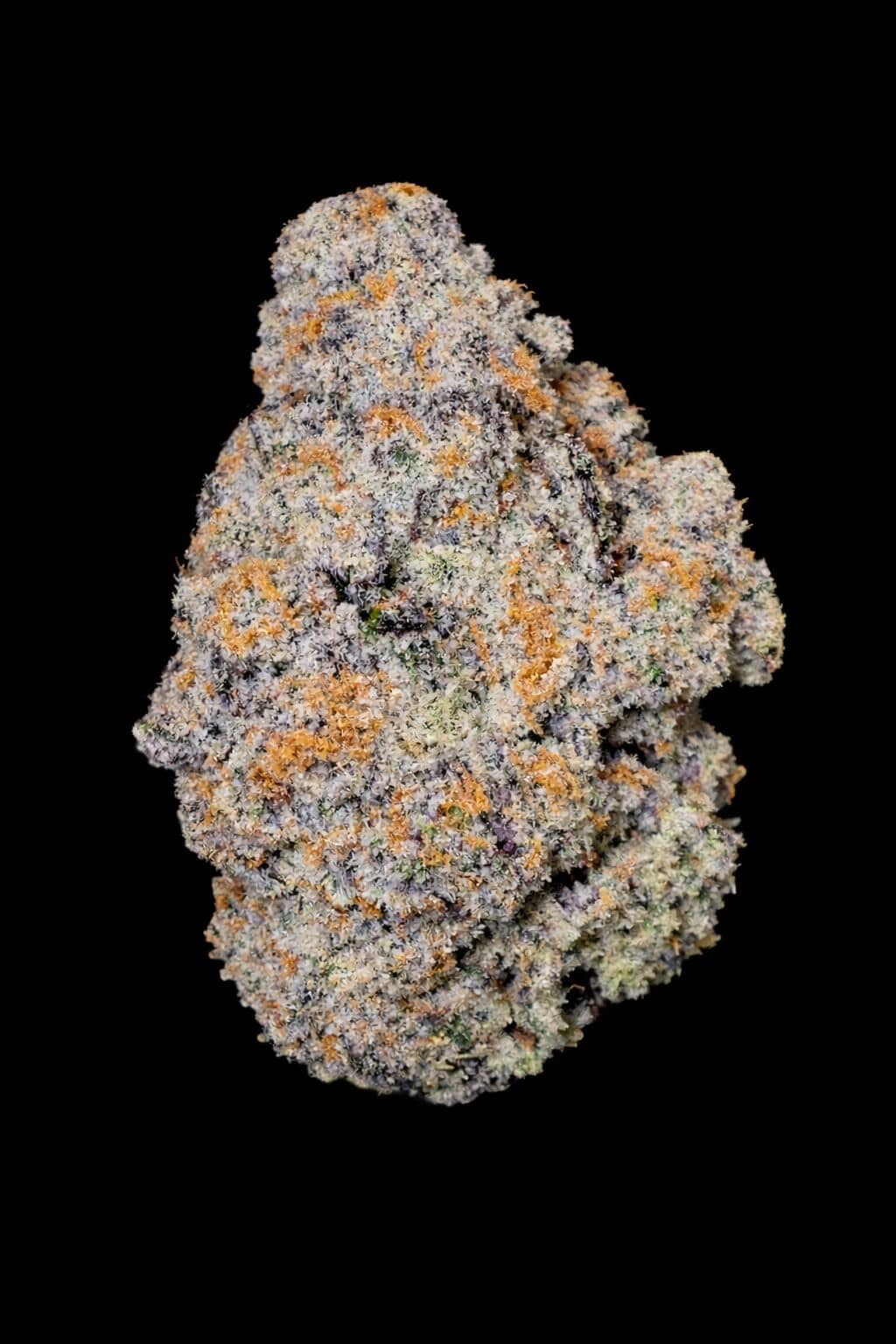 Close-up of high-quality cannabis flower with vibrant orange pistils and frosty trichomes on a dark background.