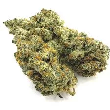 Orange Push Pop THCA Flower