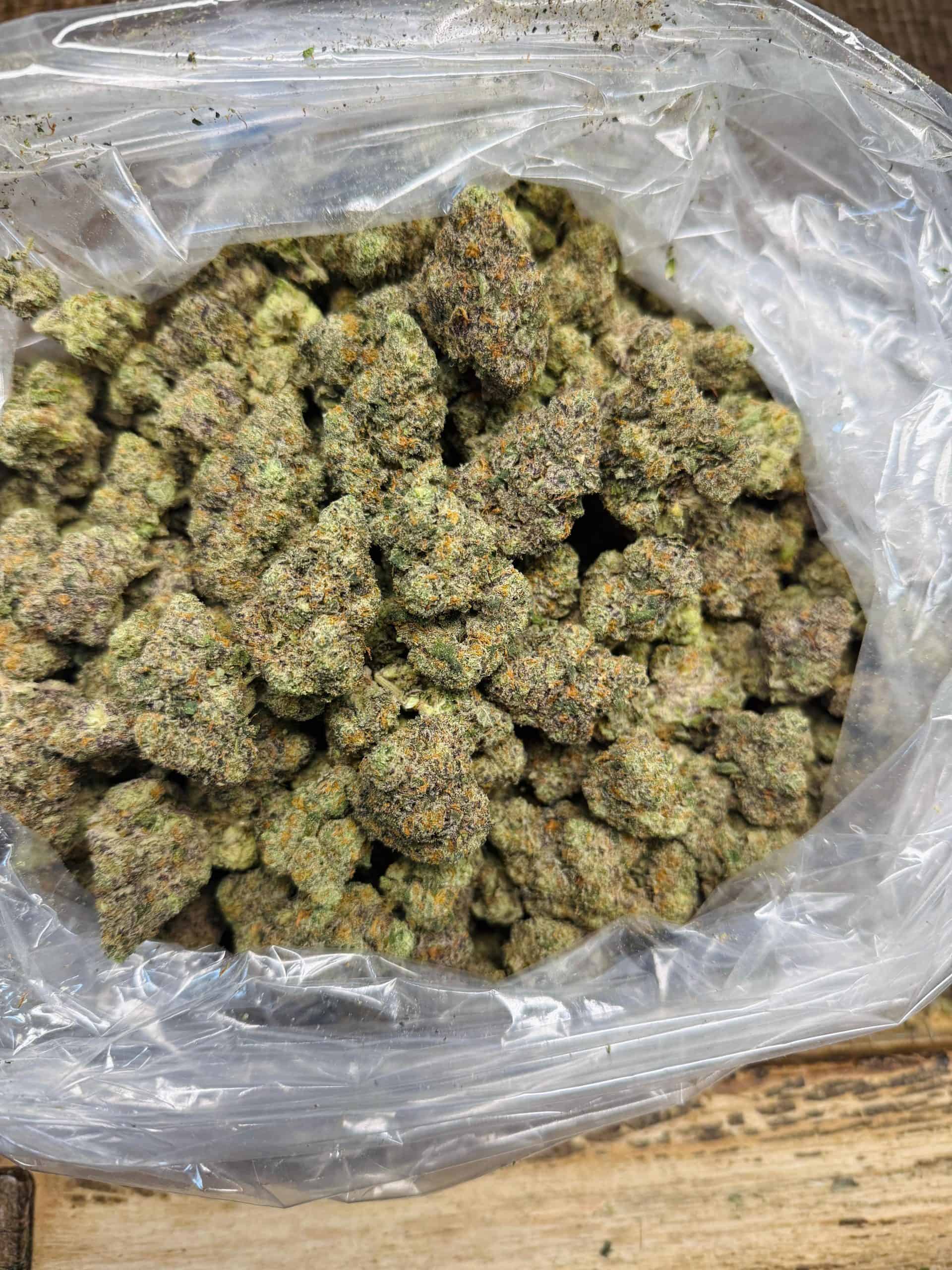 High-quality cannabis buds in a clear plastic bag, ready for use.