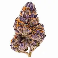 Permanent Marker THCA Flower