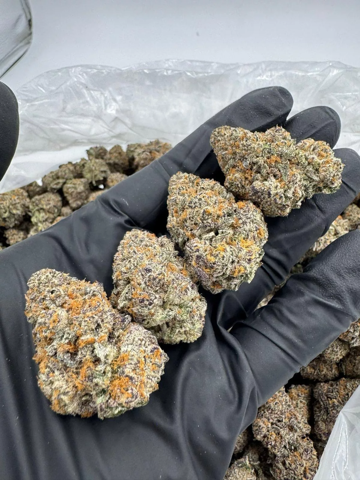 Purple Haze THCA Flower - Image 2