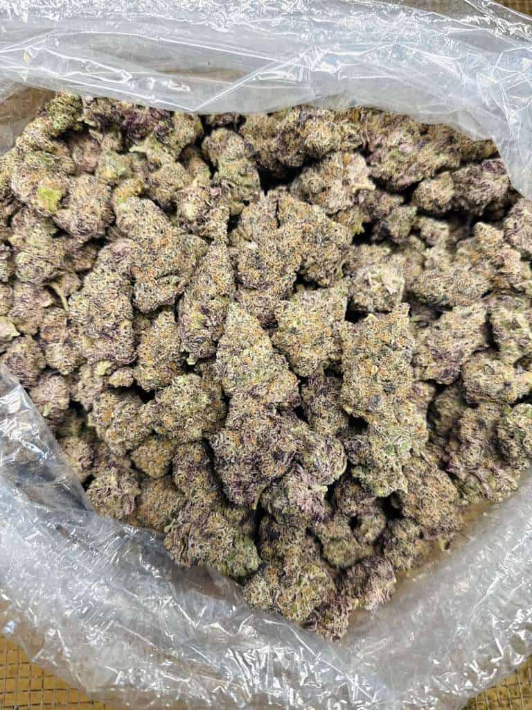 Close-up of high-quality cannabis buds in a clear plastic bag.