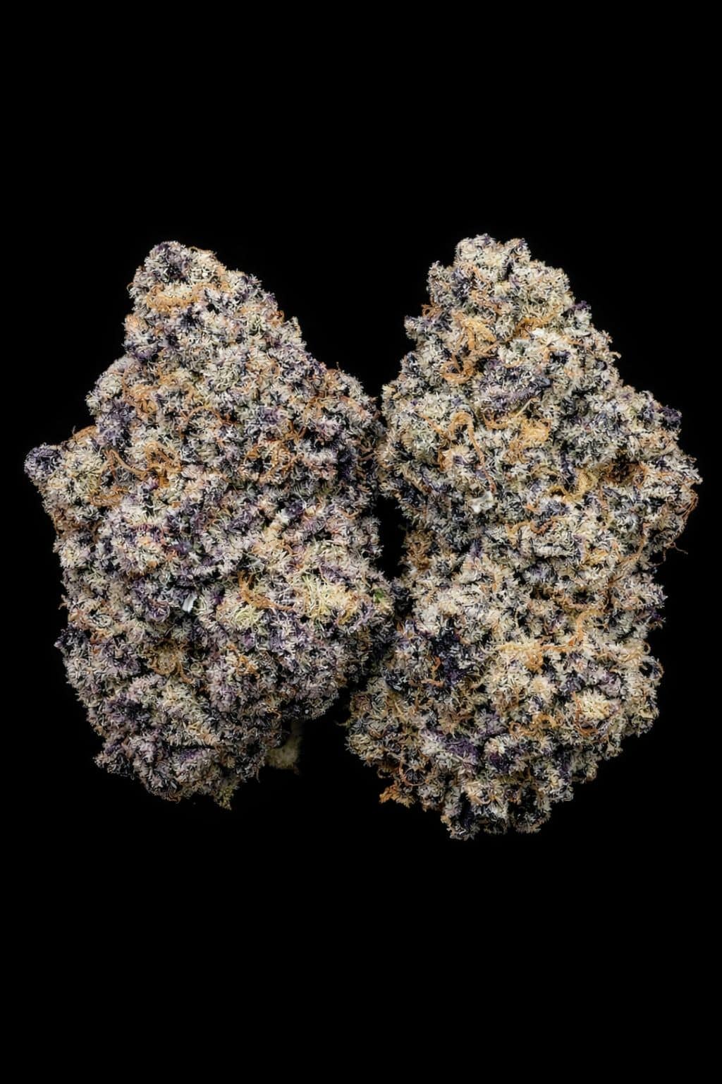 Close-up of high-quality purple and green cannabis buds with frosty trichomes on a black background.