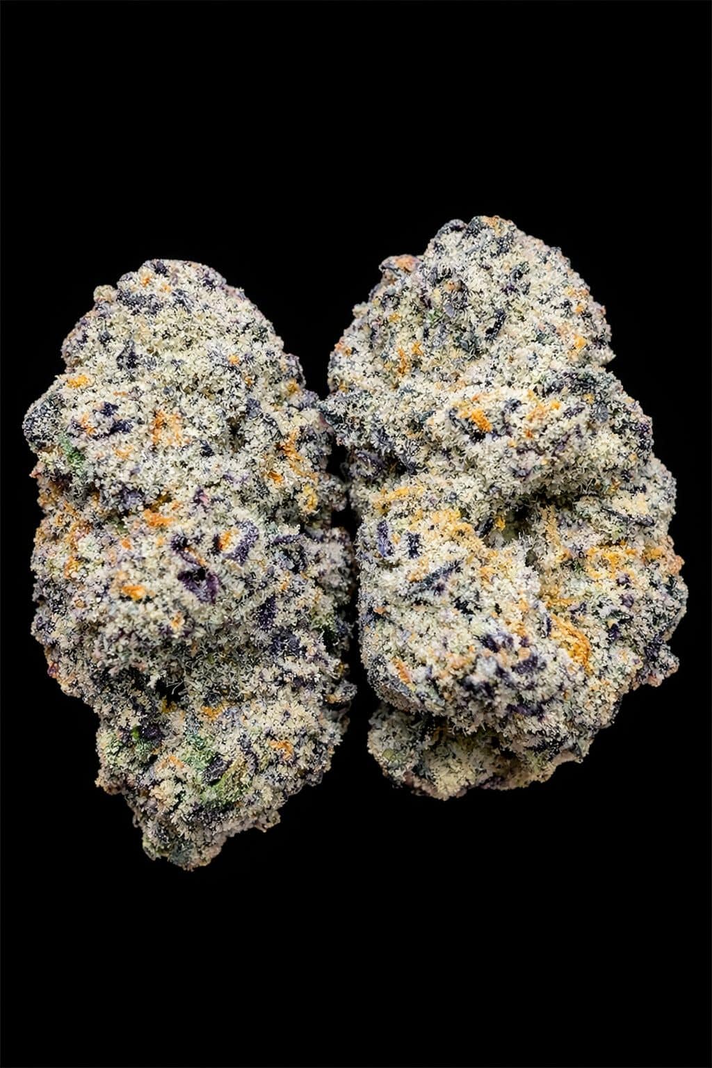 Close-up of high-quality cannabis buds with vibrant trichomes on a black background.