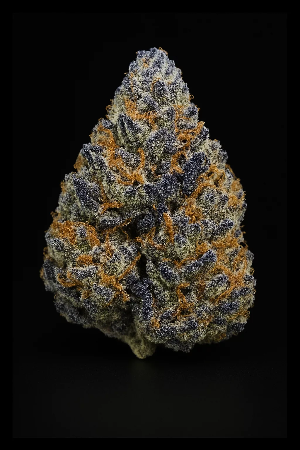 Triple Blue Haze THCA Flower