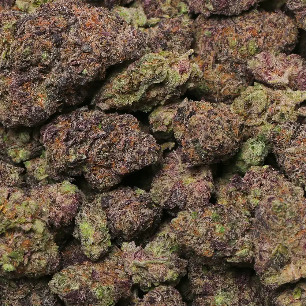 Hash Burger THCA Flower - Image 3