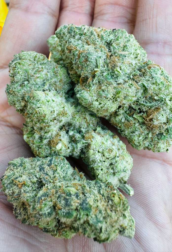 Illuminati OG