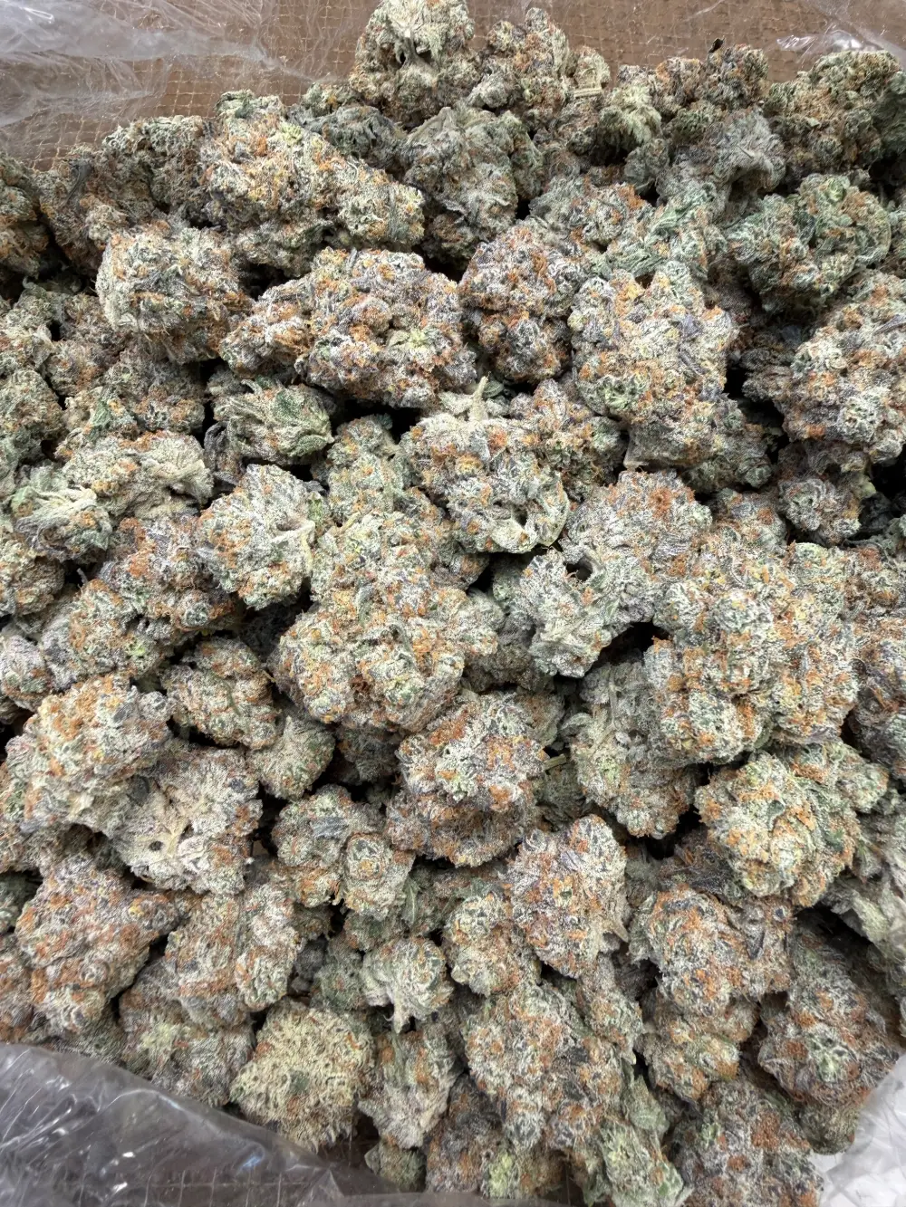 Oreo_breath