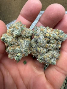 Oreo breath