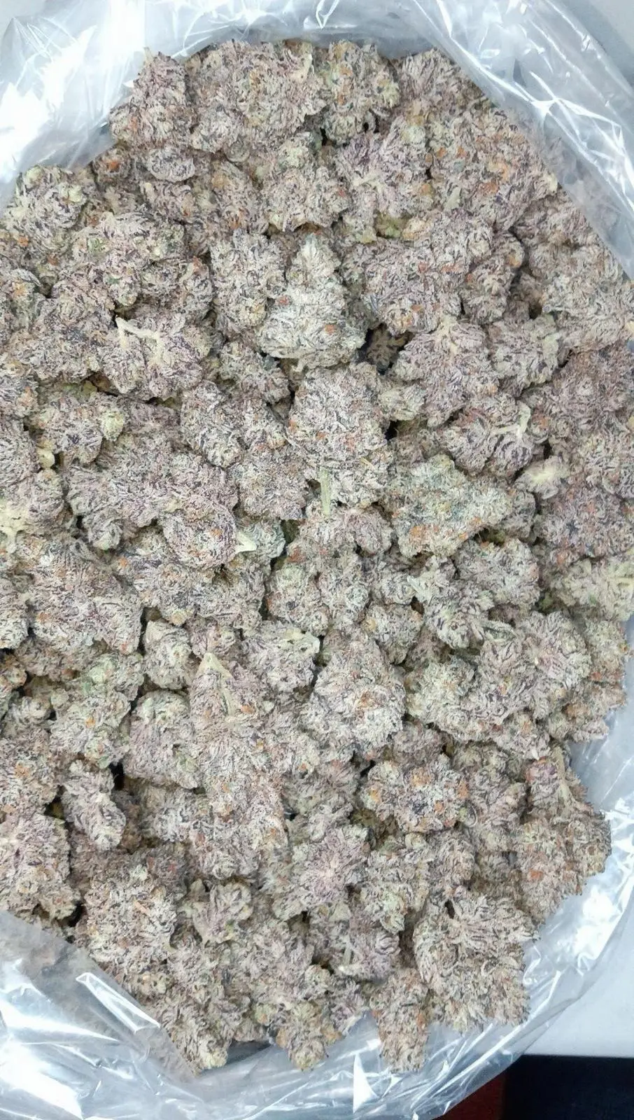 Unicorn Candy