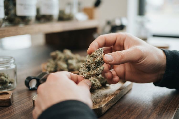 How to Choose High-Quality THCA Flower