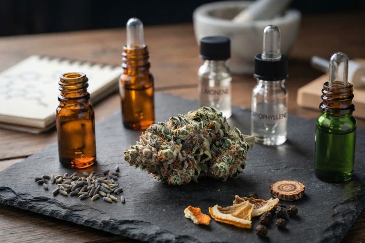 Terpenes in THCA Flower