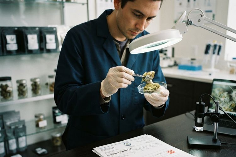 Buying Smarter: Check the Lab Report