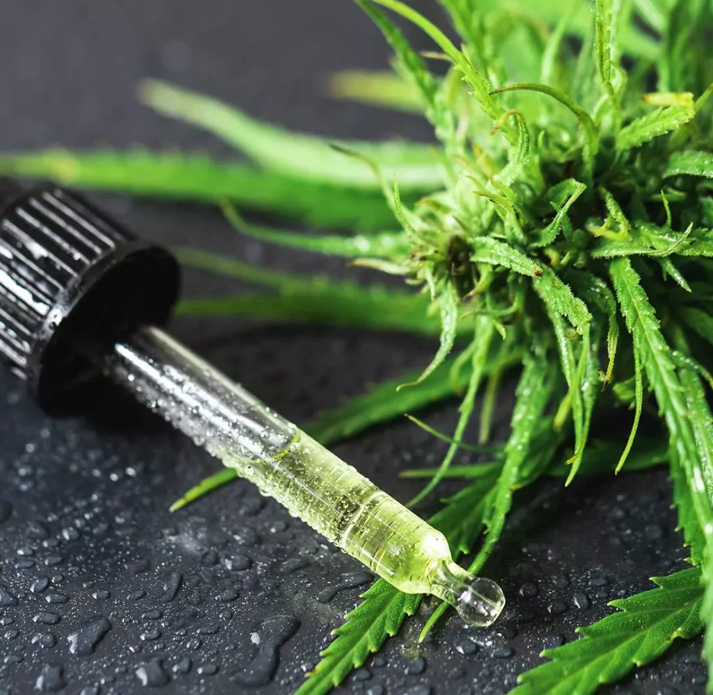 cannabis-plant-and-pipette-with-a-cbd-oil-HJFTPWF